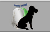 Dog and Tag Logo
